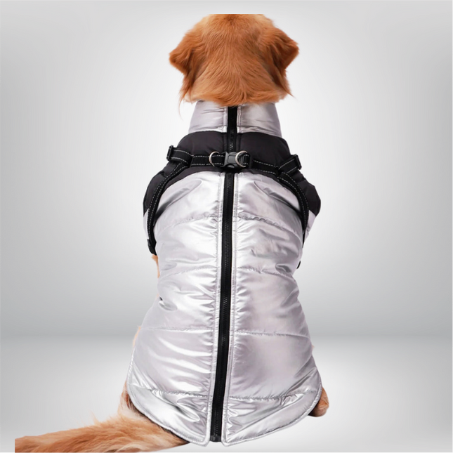 PawTaaka Silver Shield Winter Jacket – Metallic Silver & Black