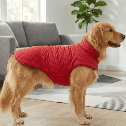 PawTaaka Everyday Reversible Winter Jacket – Red Quilted & Blue Star Fleece