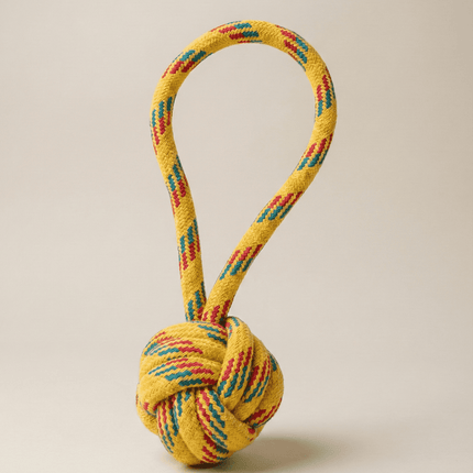 PawTaaka Holi Paws & Play Box – Festive Pet T-Shirt, Toy, Organic Gulal & Treats Kit