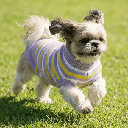 PawTaaka Cozy Knit Striped Sweater – Purple & Yellow