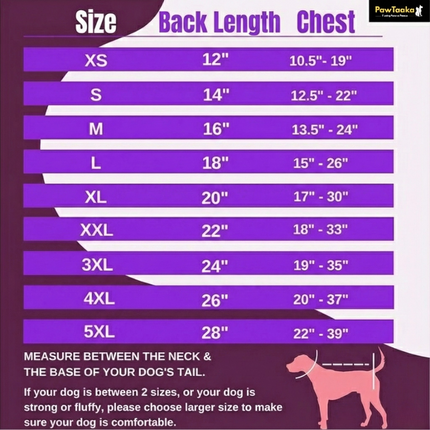 PawTaaka Everyday Reversible Winter Jacket – Blue Quilted & Red Plush Fur