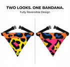 PawTaaka Reversible Pop Camo Dog Bandana