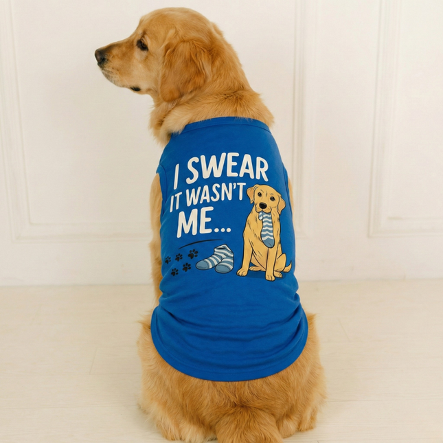 PawTaaka Not Me Dog T-Shirt – Blue Mischief Graphic
