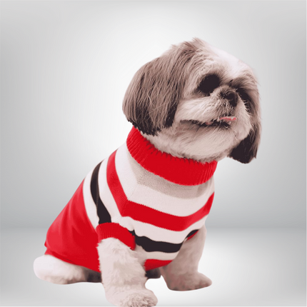 PawTaaka Cozy Red Stripe Winter Sweater for Dogs & Cats