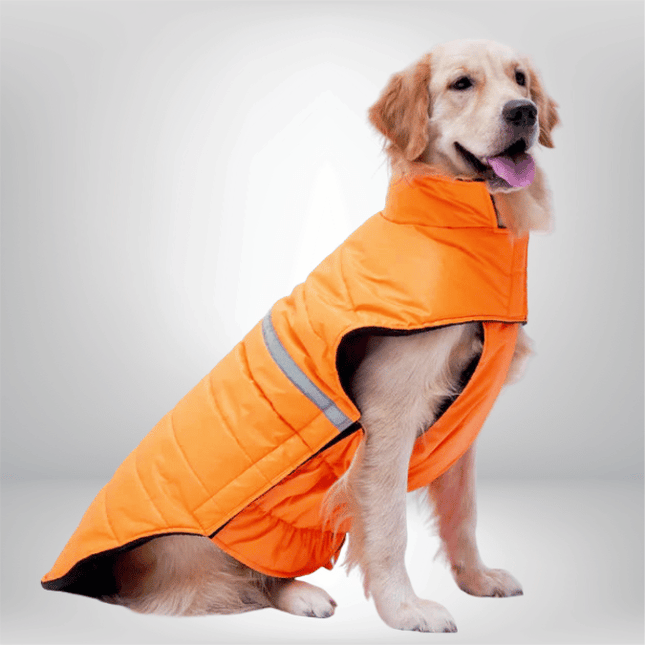 PawTaaka WinterGlow Jacket – Neon Orange