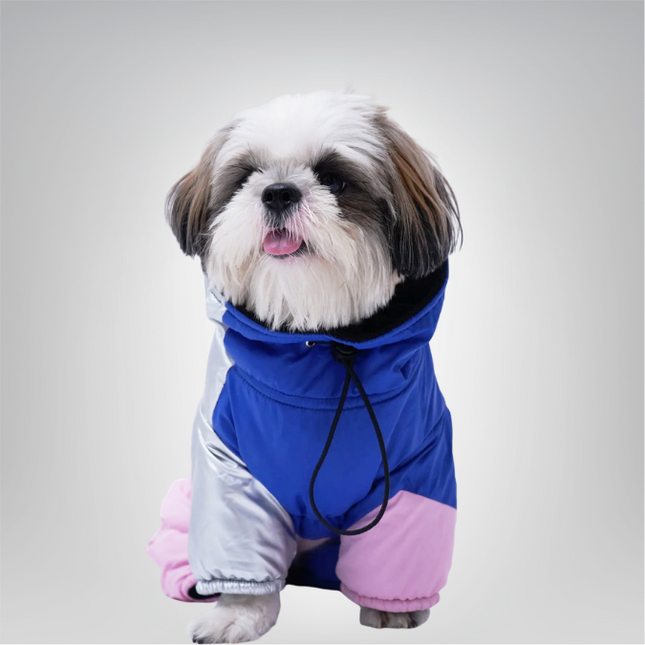 PawTaaka FrostFit Full-Body Winter Jacket – Blue, Pink & Metallic Silver