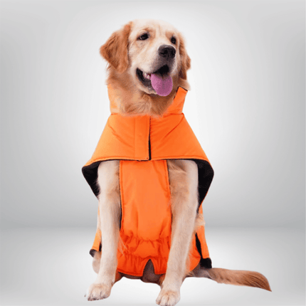PawTaaka WinterGlow Jacket – Neon Orange