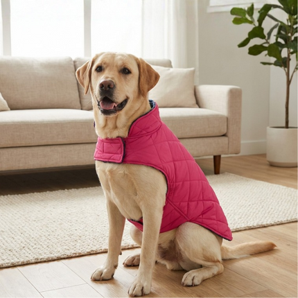 PawTaaka Everyday Reversible Winter Jacket – Pink Quilted & Blue Star Plush Fur
