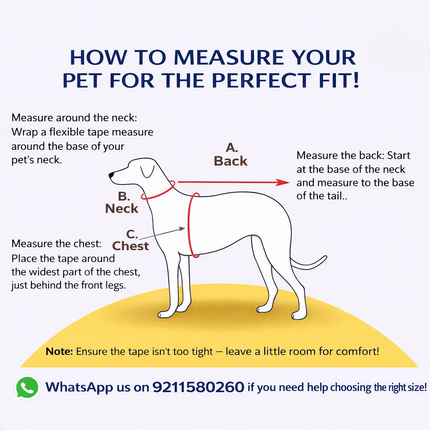 PawTaaka Holi Paws & Play Box – Festive Pet T-Shirt, Toy, Organic Gulal & Treats Kit