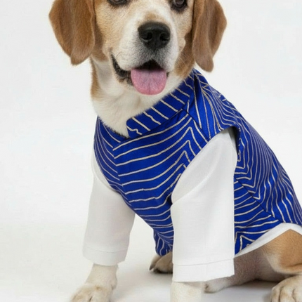 PawTaaka Luxe Gota Koti & Cotton Kurta Set for Dogs