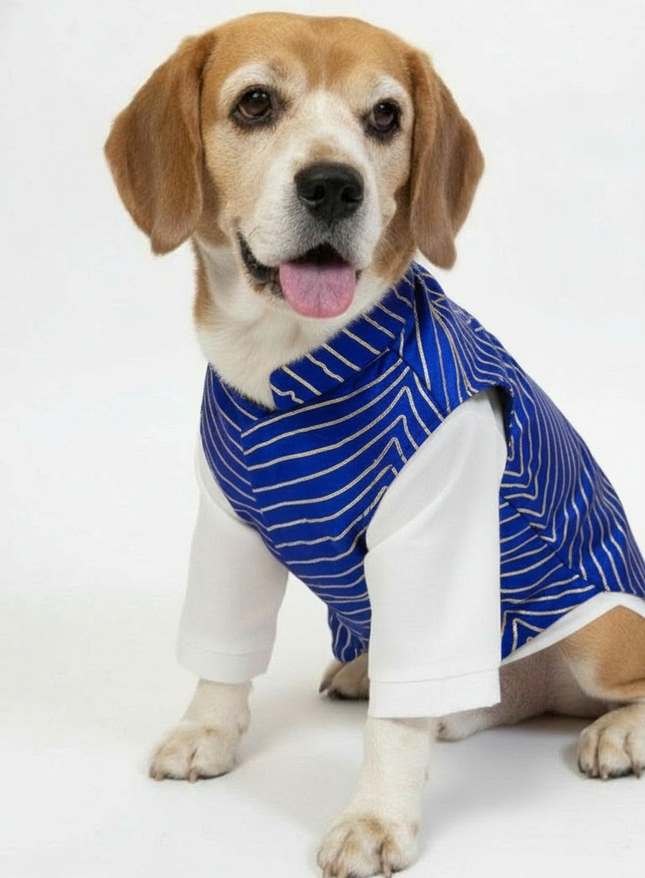 PawTaaka Luxe Gota Koti & Cotton Kurta Set for Dogs