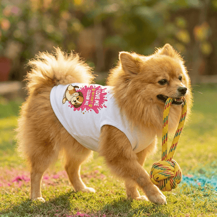 PawTaaka Holi Paws & Play Box – Festive Pet T-Shirt, Toy, Organic Gulal & Treats Kit