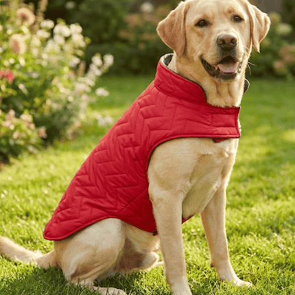 Combo of 2 Reversible Winter Jackets - 4 Looks in 1 + FREE Bow