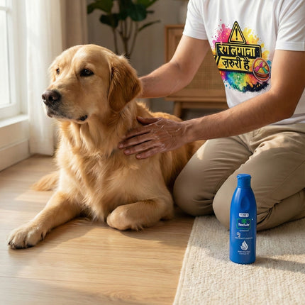 Holi Pawty Twinning Celebration Box for Dogs & Pet Parents