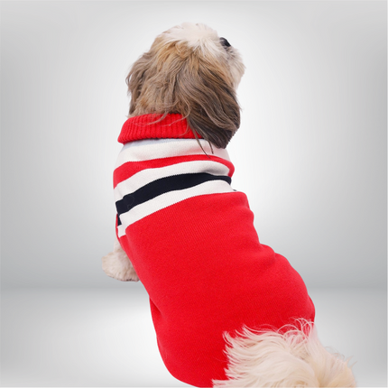 PawTaaka Cozy Red Stripe Winter Sweater for Dogs & Cats