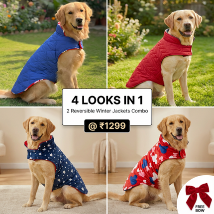 Combo of 2 Reversible Winter Jackets - 4 Looks in 1 + FREE Bow