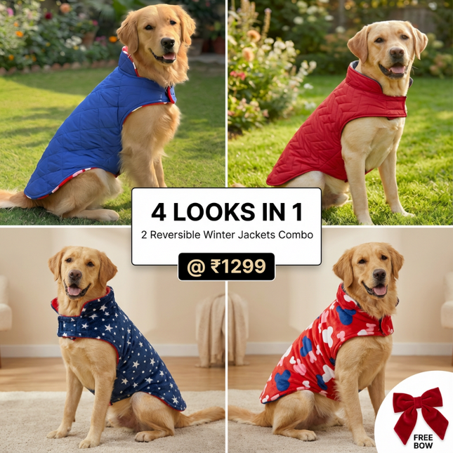 Combo of 2 Reversible Winter Jackets - 4 Looks in 1 + FREE Bow