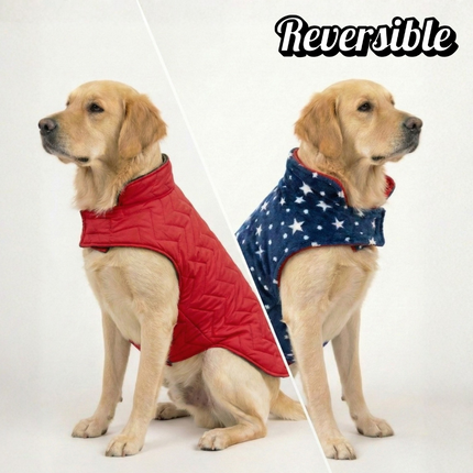 PawTaaka Everyday Reversible Winter Jacket – Red Quilted & Blue Star Fleece