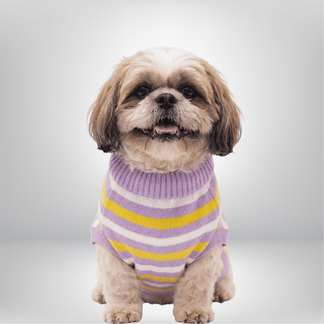 PawTaaka Cozy Knit Striped Sweater – Purple & Yellow