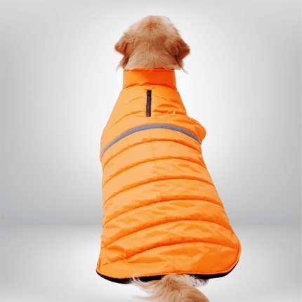 PawTaaka WinterGlow Jacket – Neon Orange