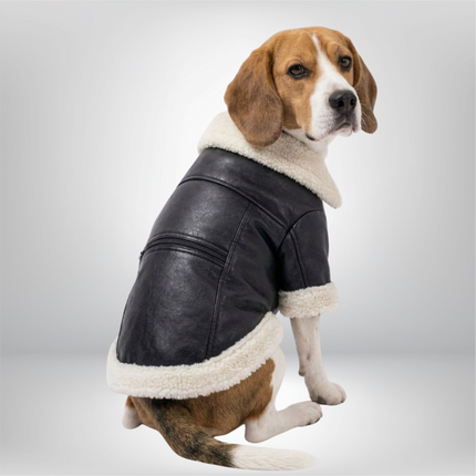 PawTaaka Winter Luxe Leather Jacket with Fur Collar
