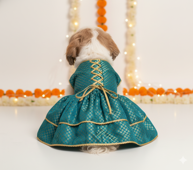 PawTaaka Teal Brocade Pet Lehenga –  Wedding & Festive Dress for Dogs