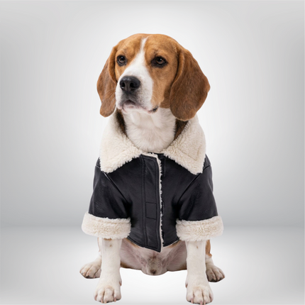 PawTaaka Winter Luxe Leather Jacket with Fur Collar