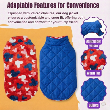 PawTaaka Everyday Reversible Winter Jacket – Blue Quilted & Red Plush Fur