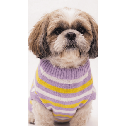 PawTaaka Cozy Knit Striped Sweater – Purple & Yellow
