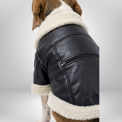 PawTaaka Winter Luxe Leather Jacket with Fur Collar