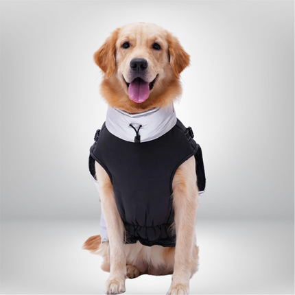 PawTaaka Silver Shield Winter Jacket – Metallic Silver & Black