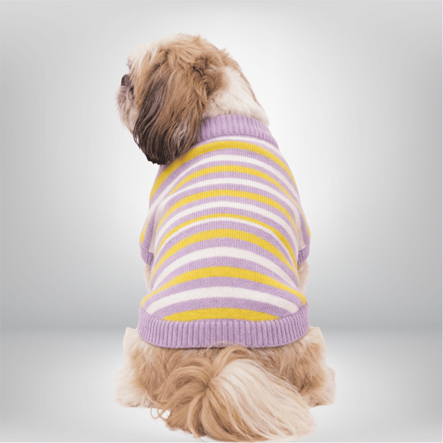 PawTaaka Cozy Knit Striped Sweater – Purple & Yellow