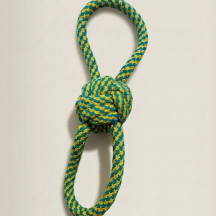 Holi Pawty Twinning Celebration Box for Dogs & Pet Parents