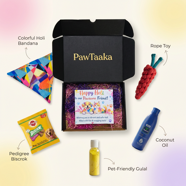 PawTaaka Holi Pawsome Bandana Box