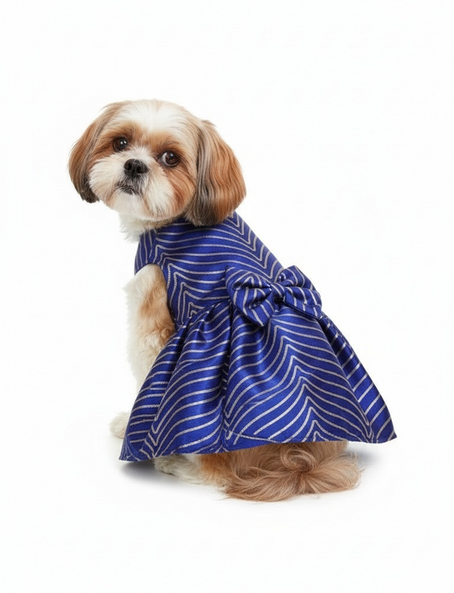 Royal Blue Golden Zigzag Dog Dress – Festive & Wedding Celebration Wear
