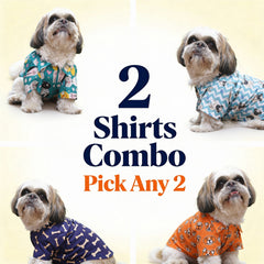 Collection image for: Cool Summer Styles