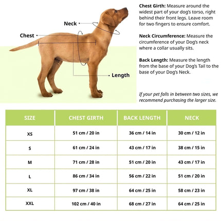 Dog sizing chart for PawTaaka Bone Vibes Dog Shirt with chest, neck, and back length measurements for accurate fit.